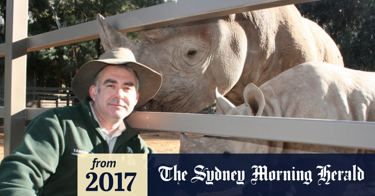 Meet the Sydney vet saving creatures great and small